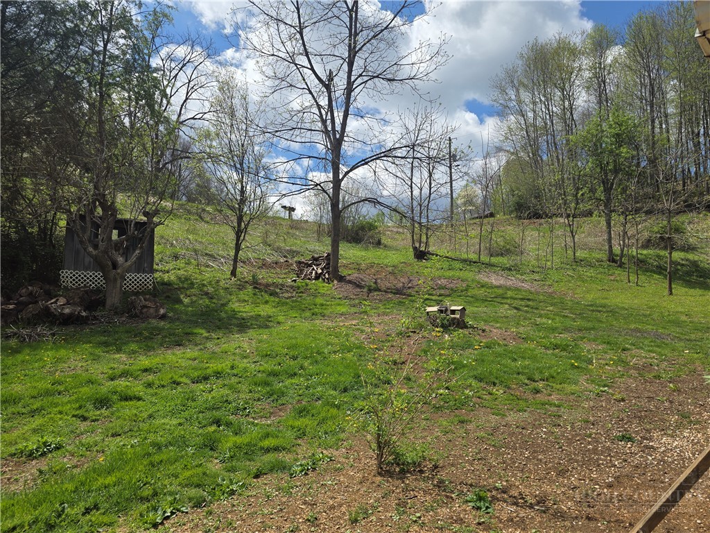 325 Sawyers Road Warrensville, NC 28693 - Photo 4 of 39 a backyard of a house with lots of green space