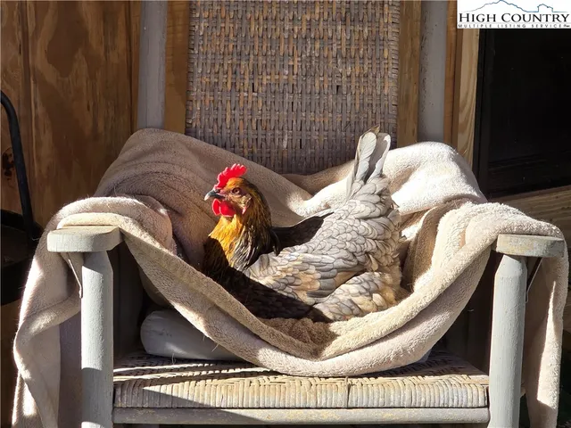 $369,900 | 325 Sawyers Road, Warrensville, NC 28693