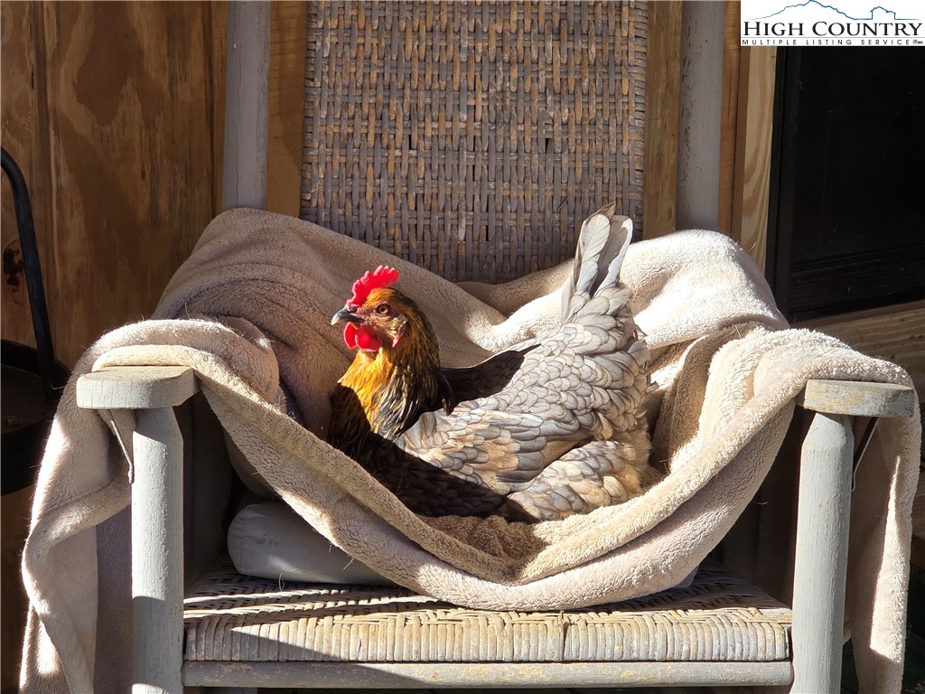 325 Sawyers Road Warrensville, NC 28693 - Photo 7 of 36