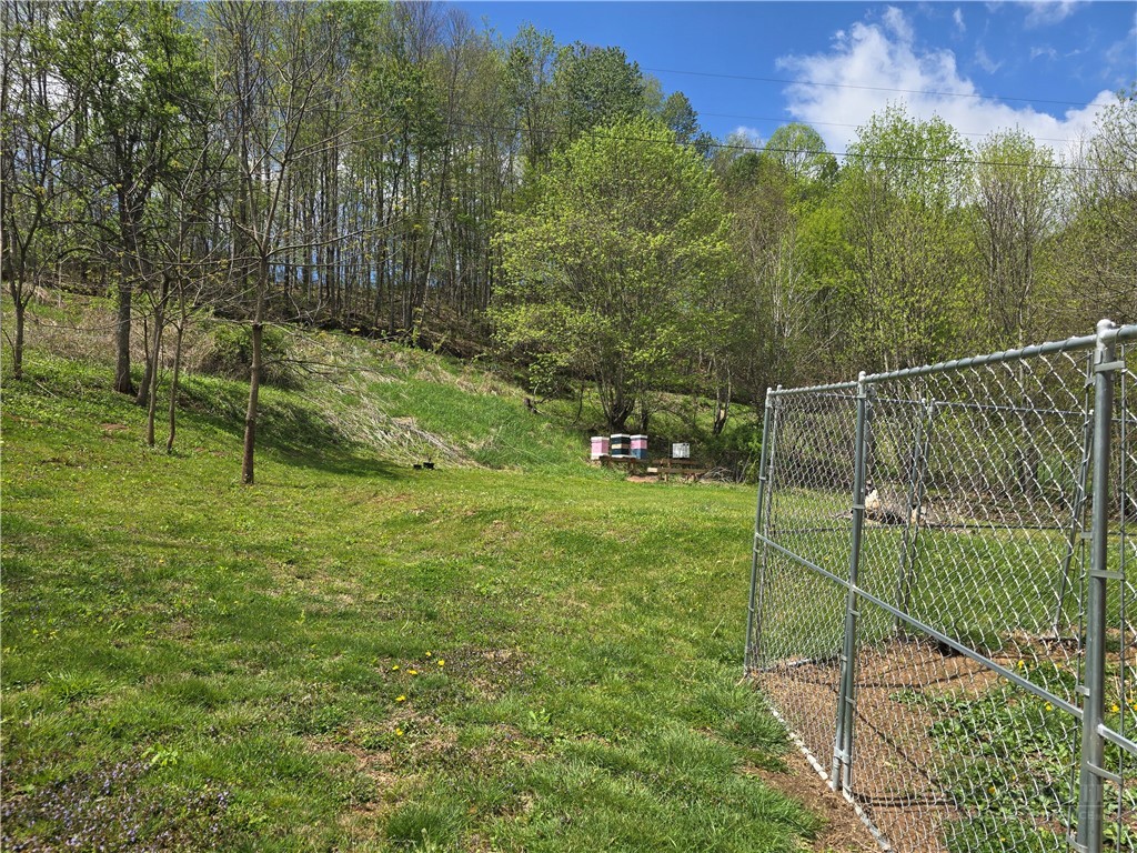 325 Sawyers Road Warrensville, NC 28693 - Photo 7 of 39 a view of a park