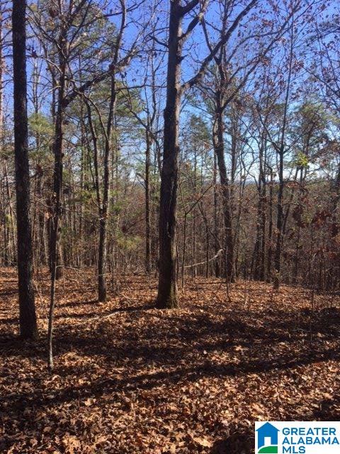 101 Shelby Forest Road, Unit 64 Chelsea, AL 35043 - Photo 2 of 2
