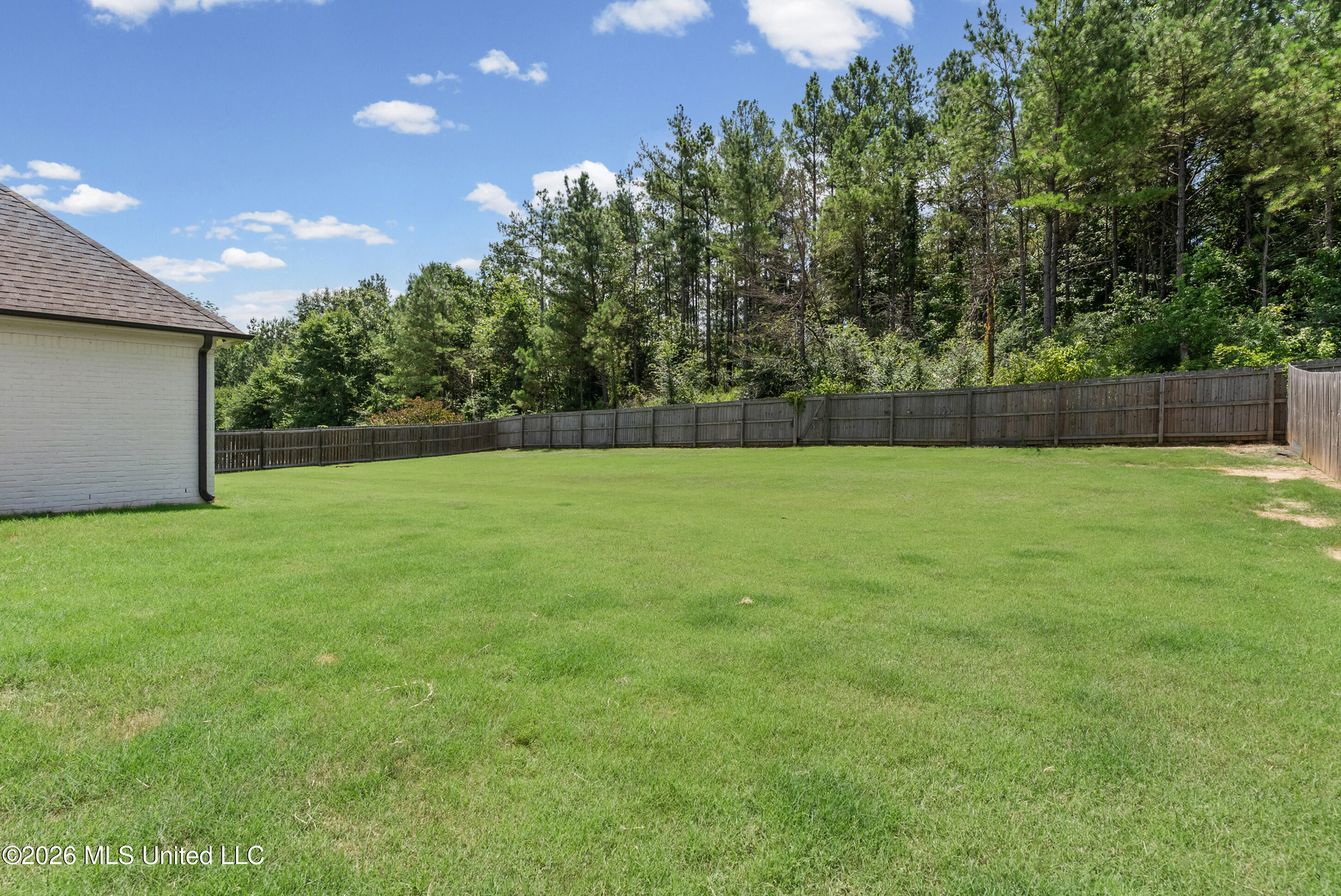 2353 Ouse Valley Lane Hernando, MS 38632 - Photo 30 of 30 Back