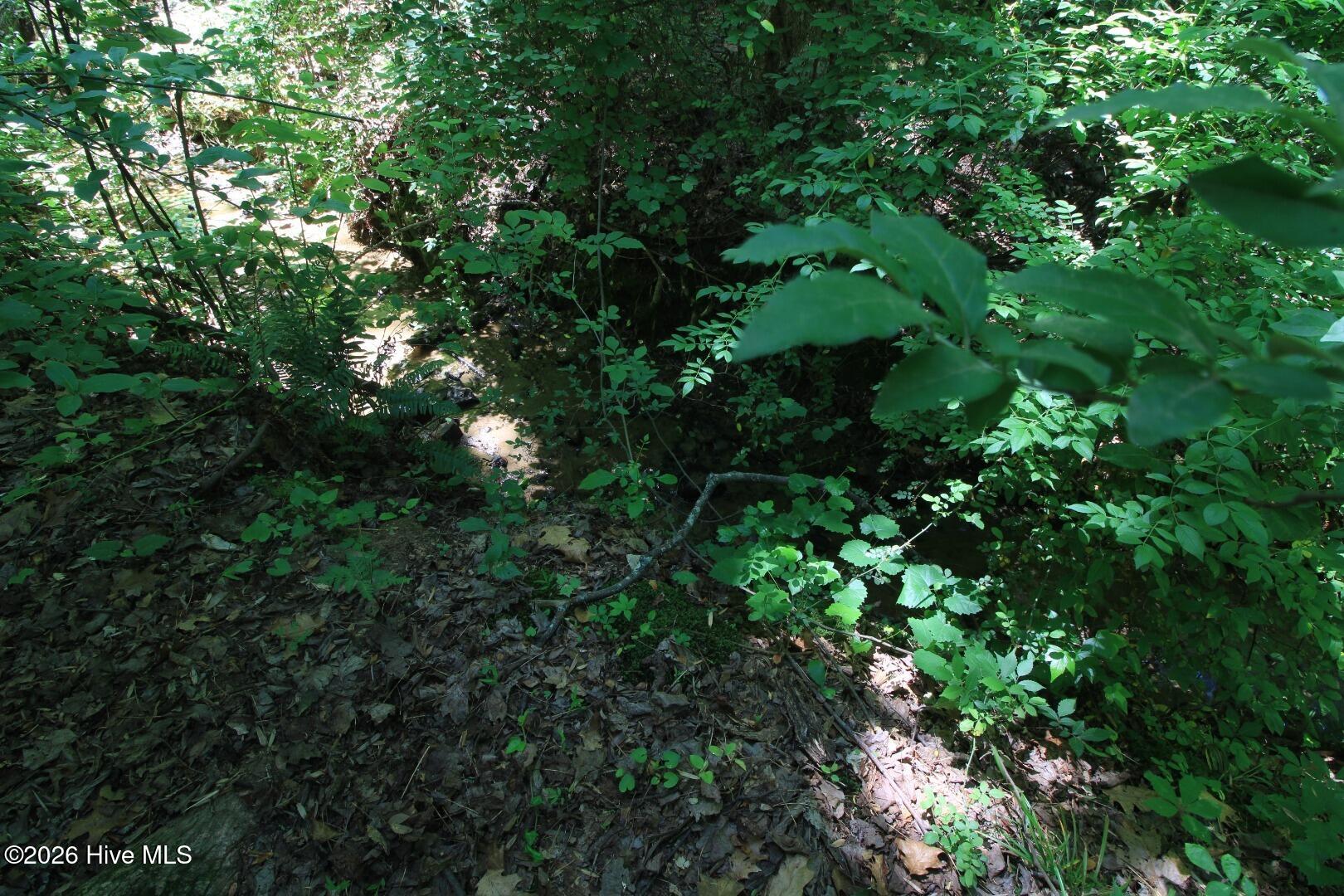 10466 Moores Chapel Road Charlotte, NC 28214 - Photo 26 of 50 Ground Creek Detail South Central