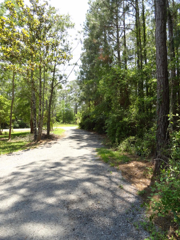339 East Nursery Road Santa Rosa Beach, FL 32459 - Photo 1 of 32 a view of outdoor space with trees