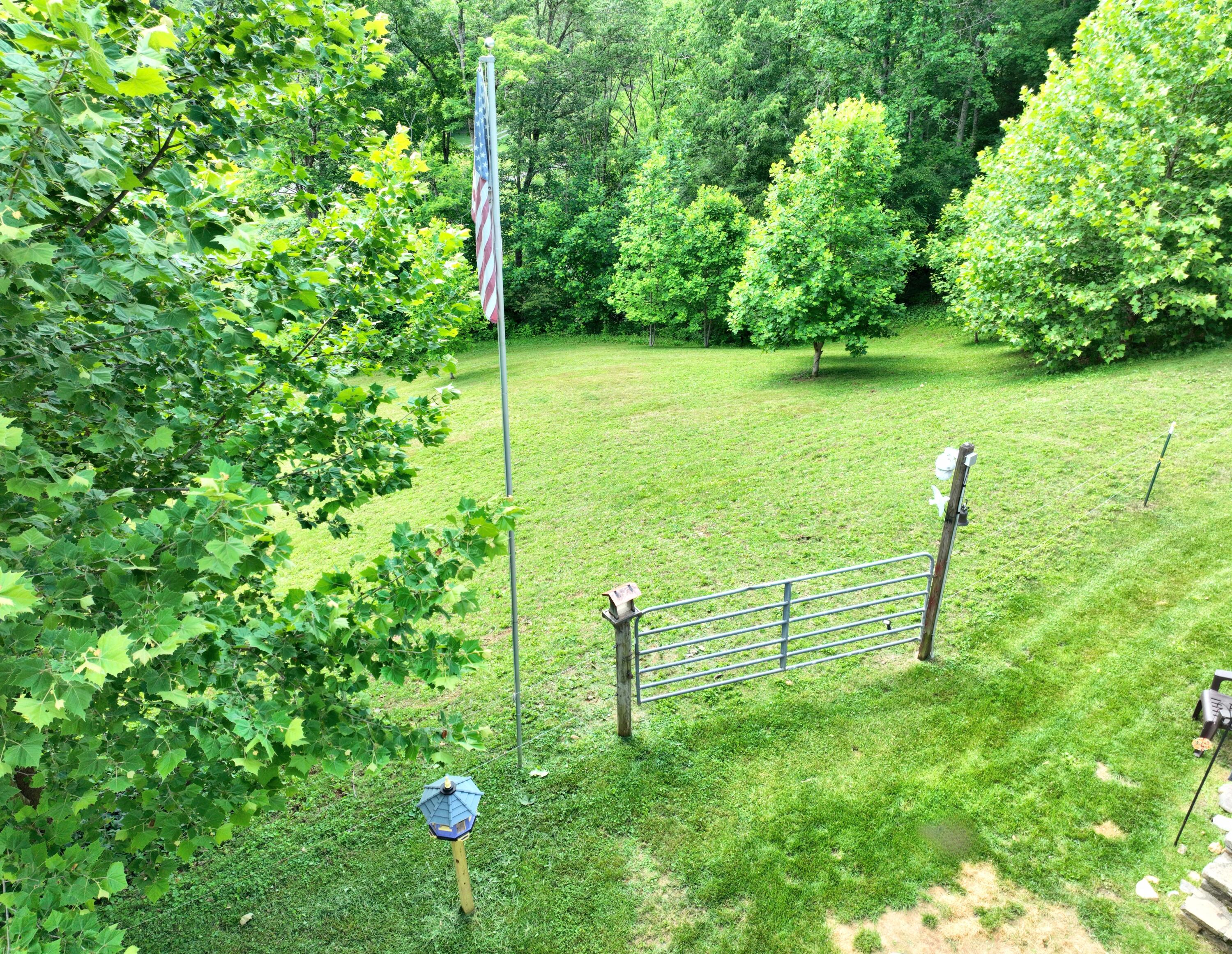 300 Nolan Ridge Road Erwin, TN 37650 - Photo 27 of 40 Front yard