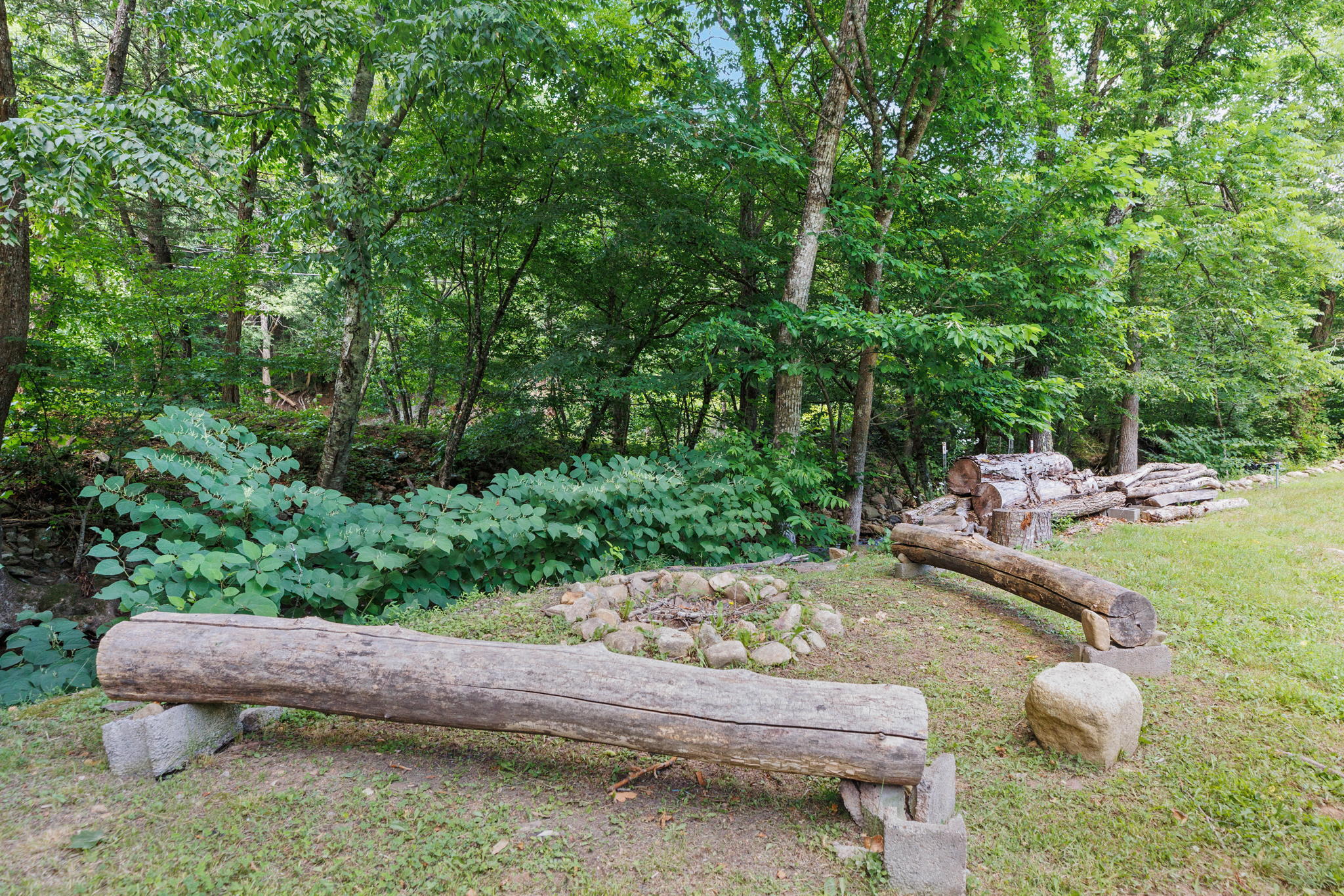 300 Nolan Ridge Road Erwin, TN 37650 - Photo 30 of 40 Firepit by creek
