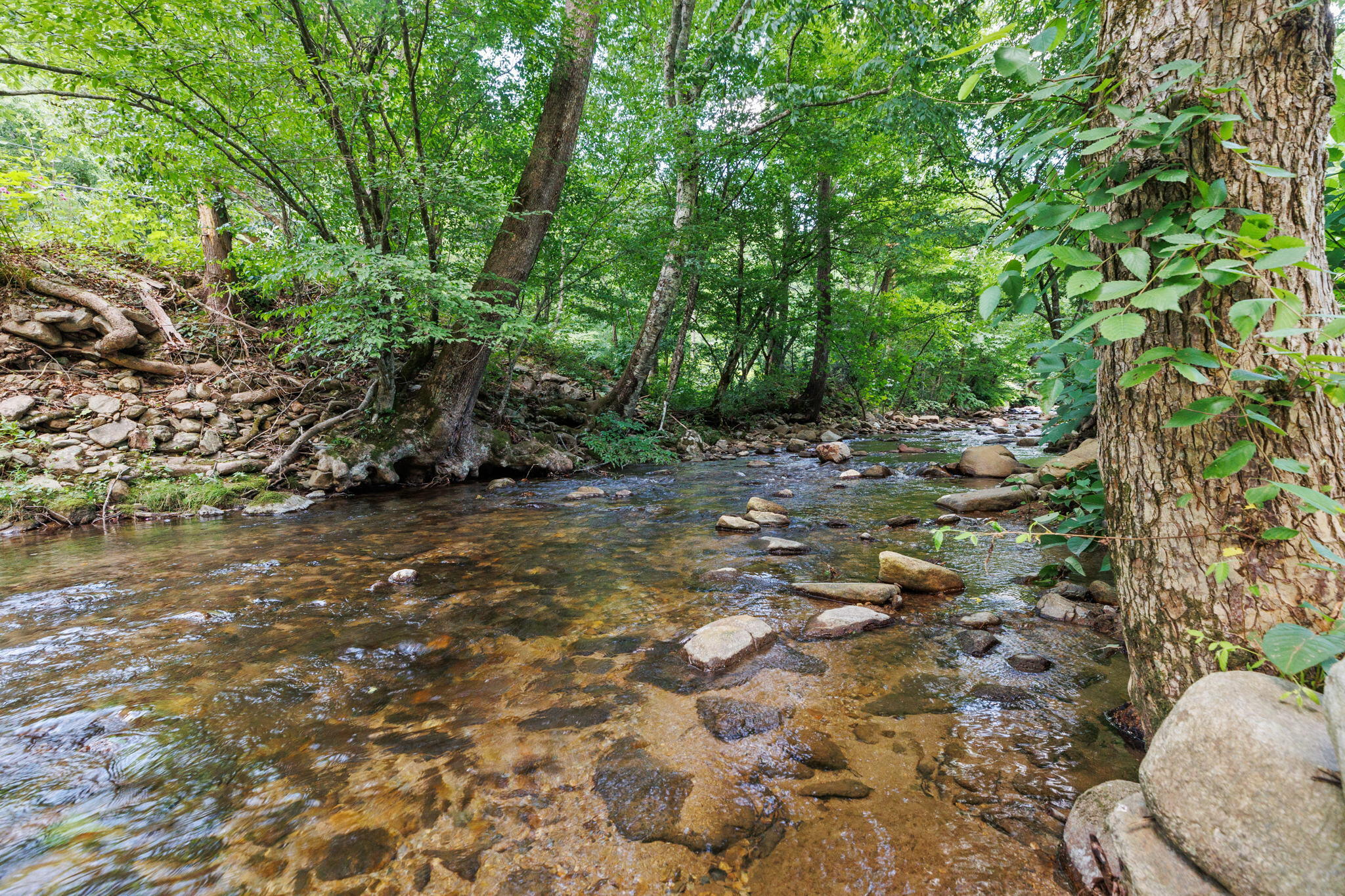 300 Nolan Ridge Road Erwin, TN 37650 - Photo 31 of 40 Spivey Mountain creek that runs in front