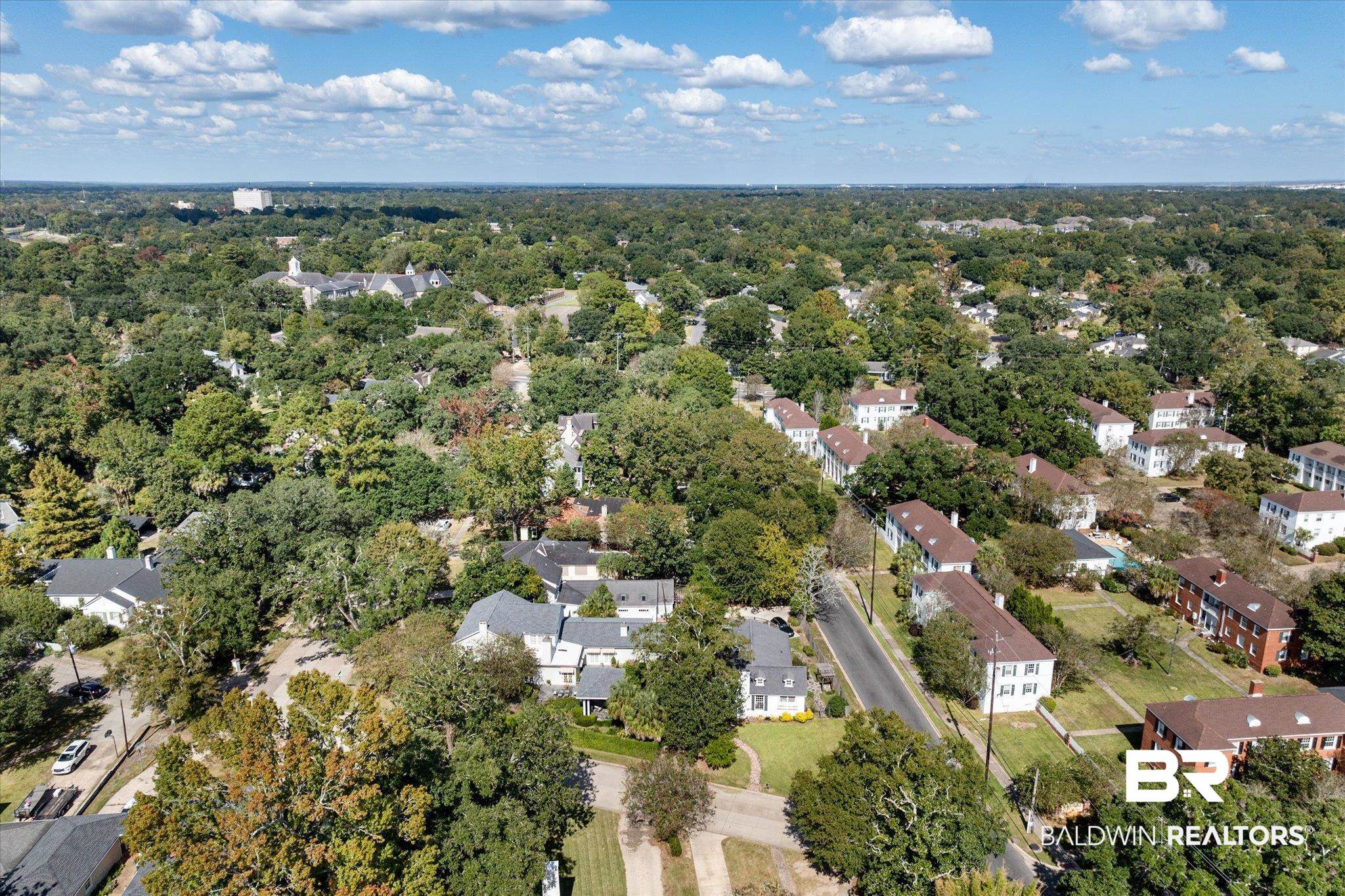 202 Woodlands Avenue Mobile, AL 36607 - Photo 50 of 53 Aerial view