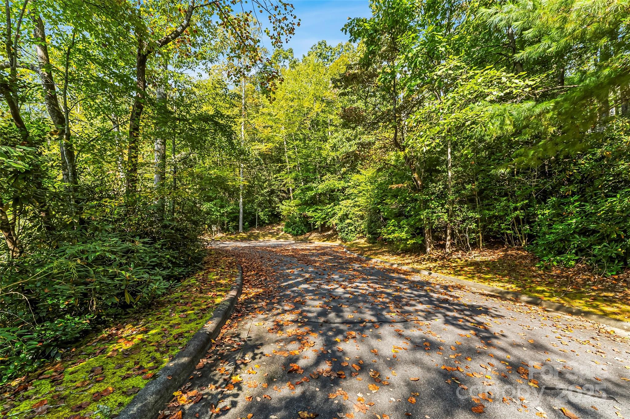 L12 R TrailSide Court Brevard, NC 28712 - Photo 3 of 13 a view of a yard with a tree
