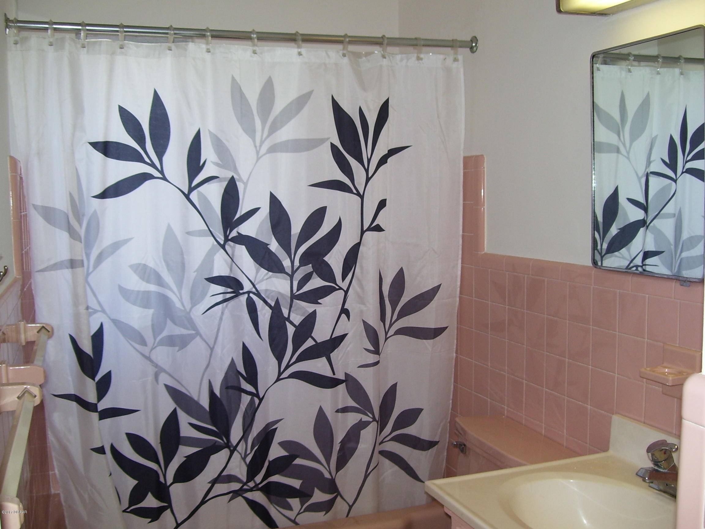 61 Rivocean Drive Ormond Beach, FL 32176 - Photo 14 of 23 a view of a potted plant on a wall