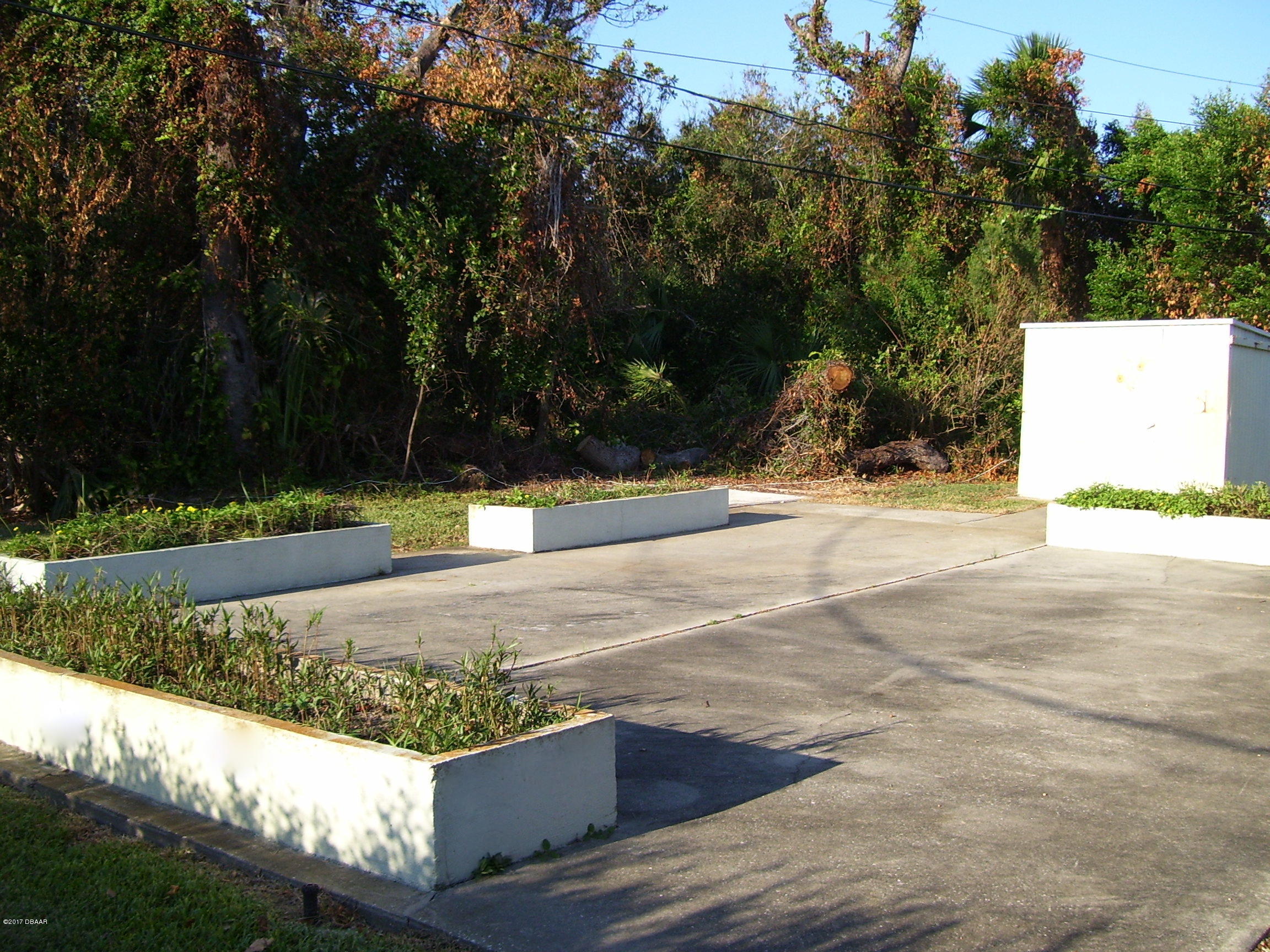 61 Rivocean Drive Ormond Beach, FL 32176 - Photo 16 of 23 a view of a park with large trees