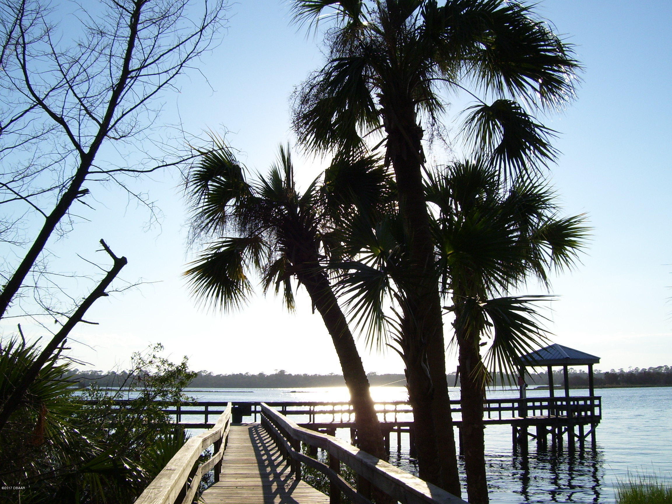 61 Rivocean Drive Ormond Beach, FL 32176 - Photo 19 of 23 an ocean view with palm trees