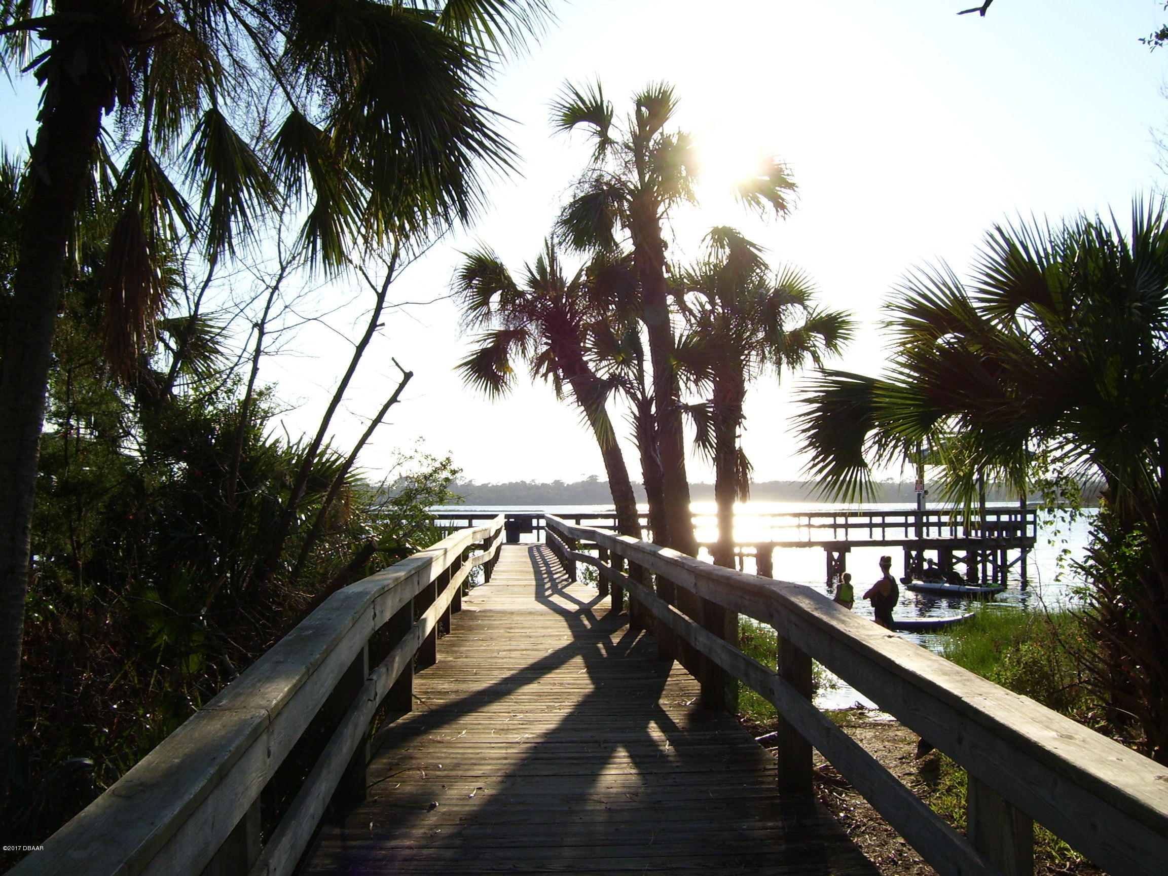 61 Rivocean Drive Ormond Beach, FL 32176 - Photo 23 of 23 a view of mountain view from a balcony