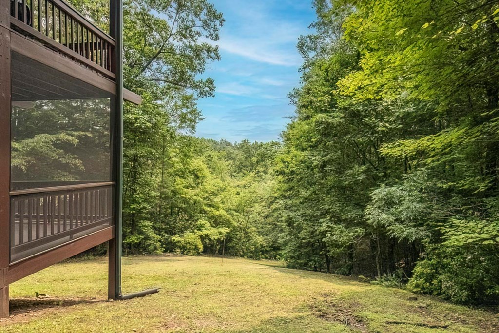573 Hiawatha Trail Blue Ridge, GA 30513 - Photo 32 of 39 Gallery Image 32