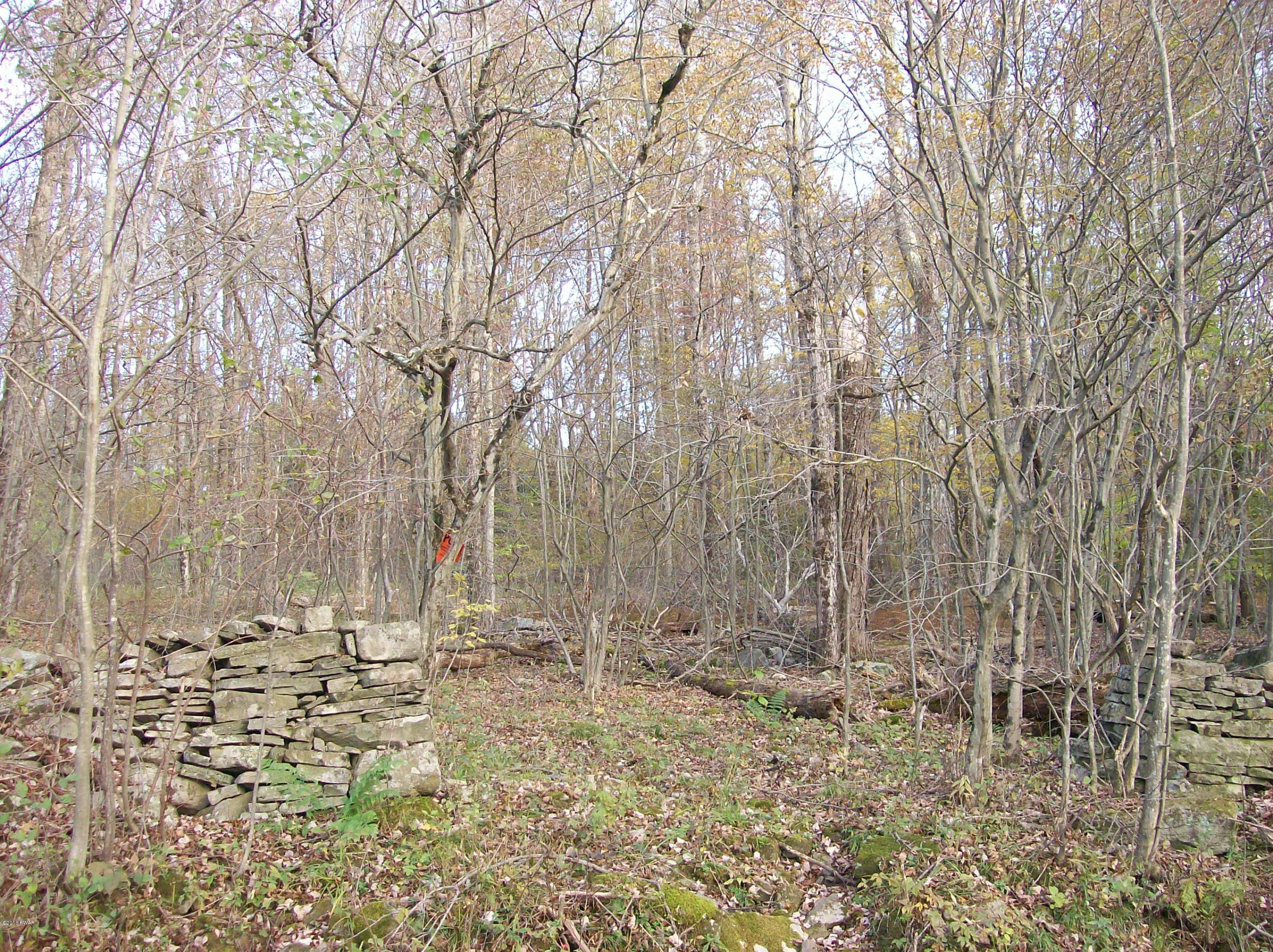 Lot #9 Bunting Road Honesdale, PA 18431 - Photo 3 of 7