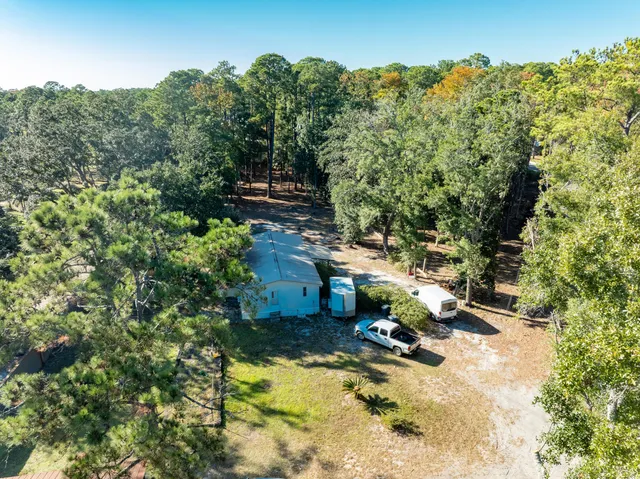 a view of a fire pit with large trees