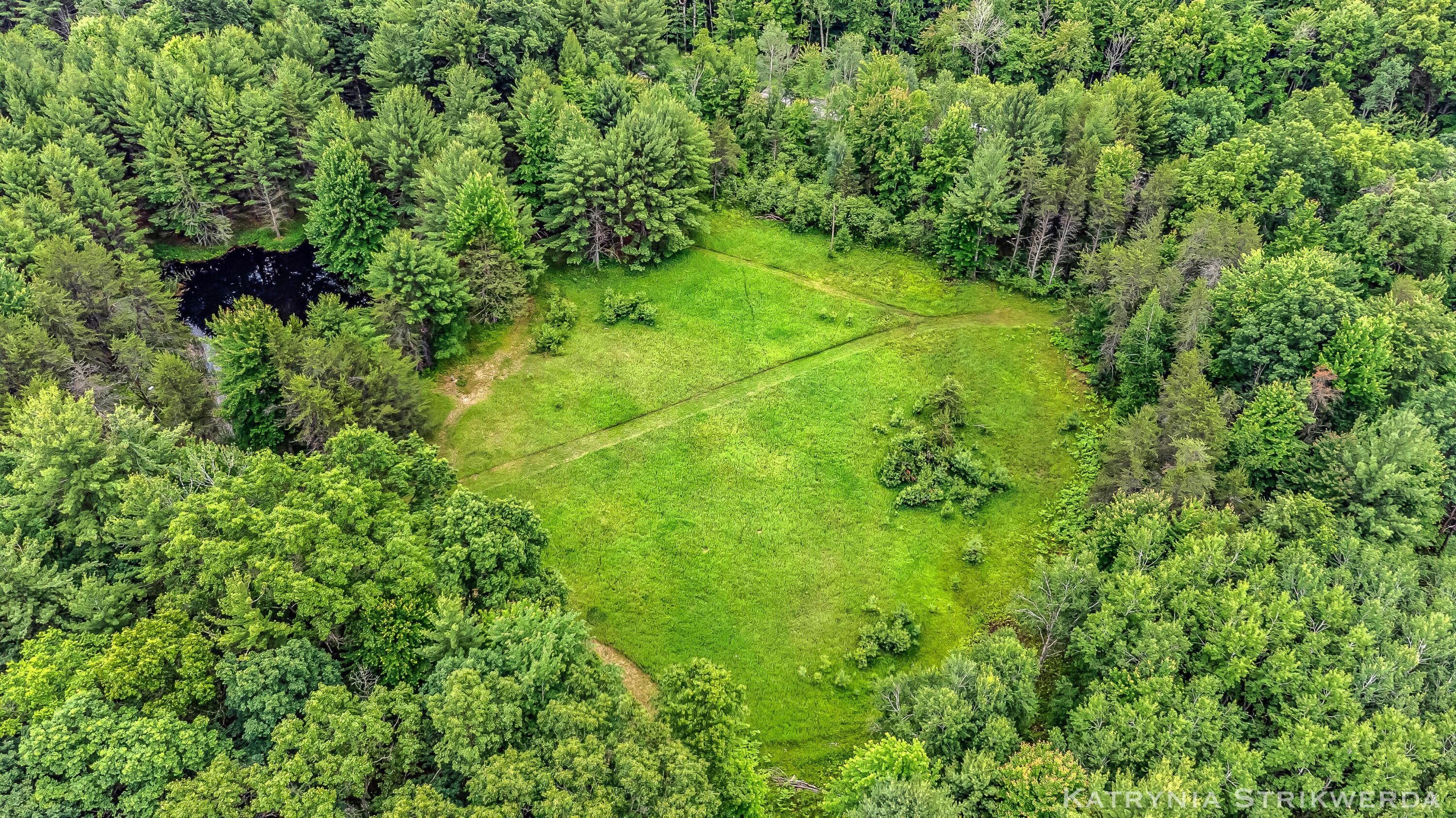 V/l East Kinney Road Branch, MI 49402 - Photo 9 of 41 DJI_0185_1