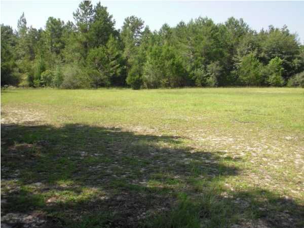 96 West Indian Creek Ranch Road DeFuniak Springs, FL 32435 - Photo 18 of 18 Gallery Image 18