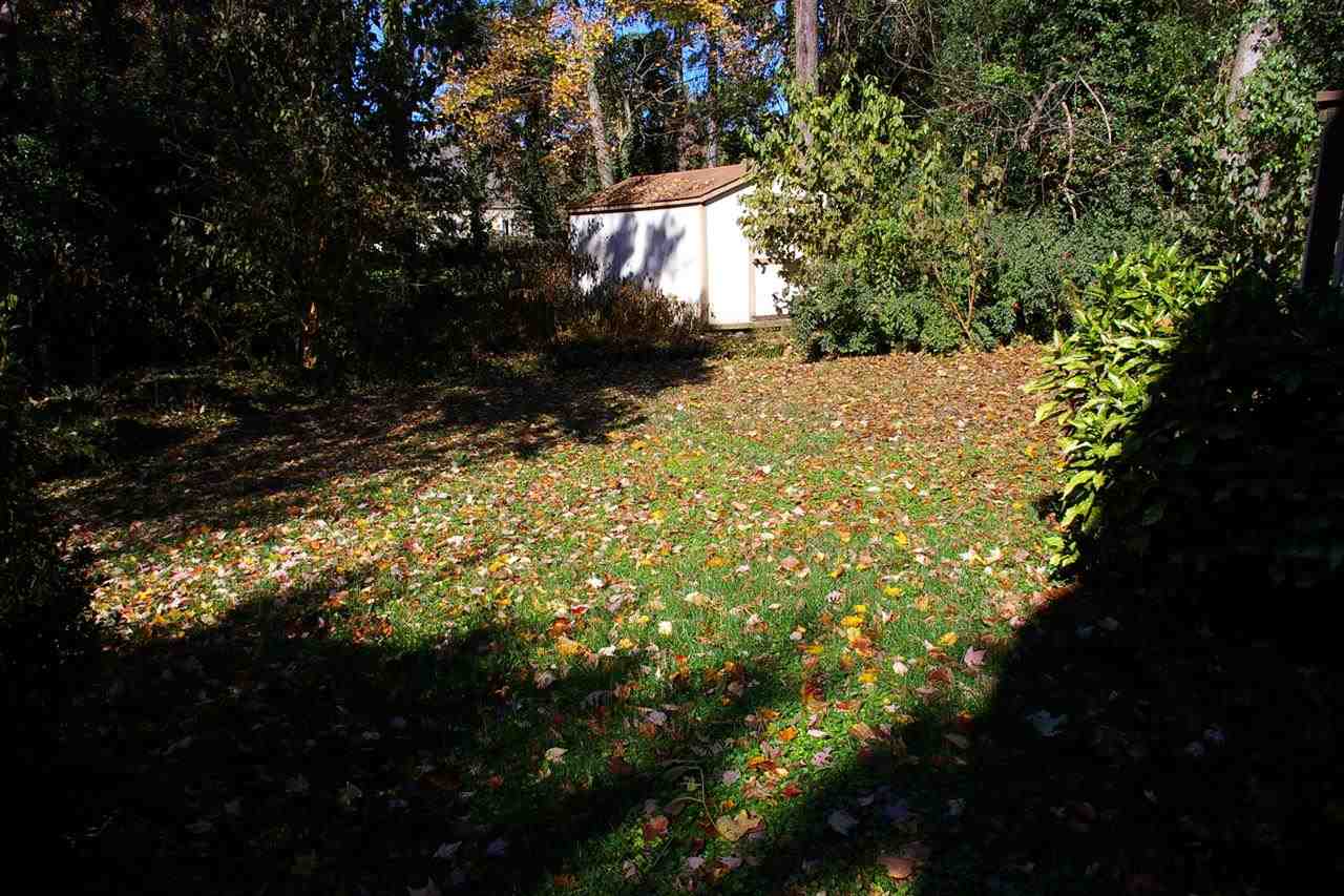 2609 Wycliff Road Raleigh, NC 27607 - Photo 12 of 14 a view of a yard with plants and trees