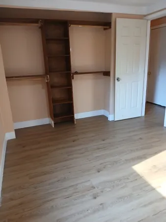 a view of walk in closet with empty racks