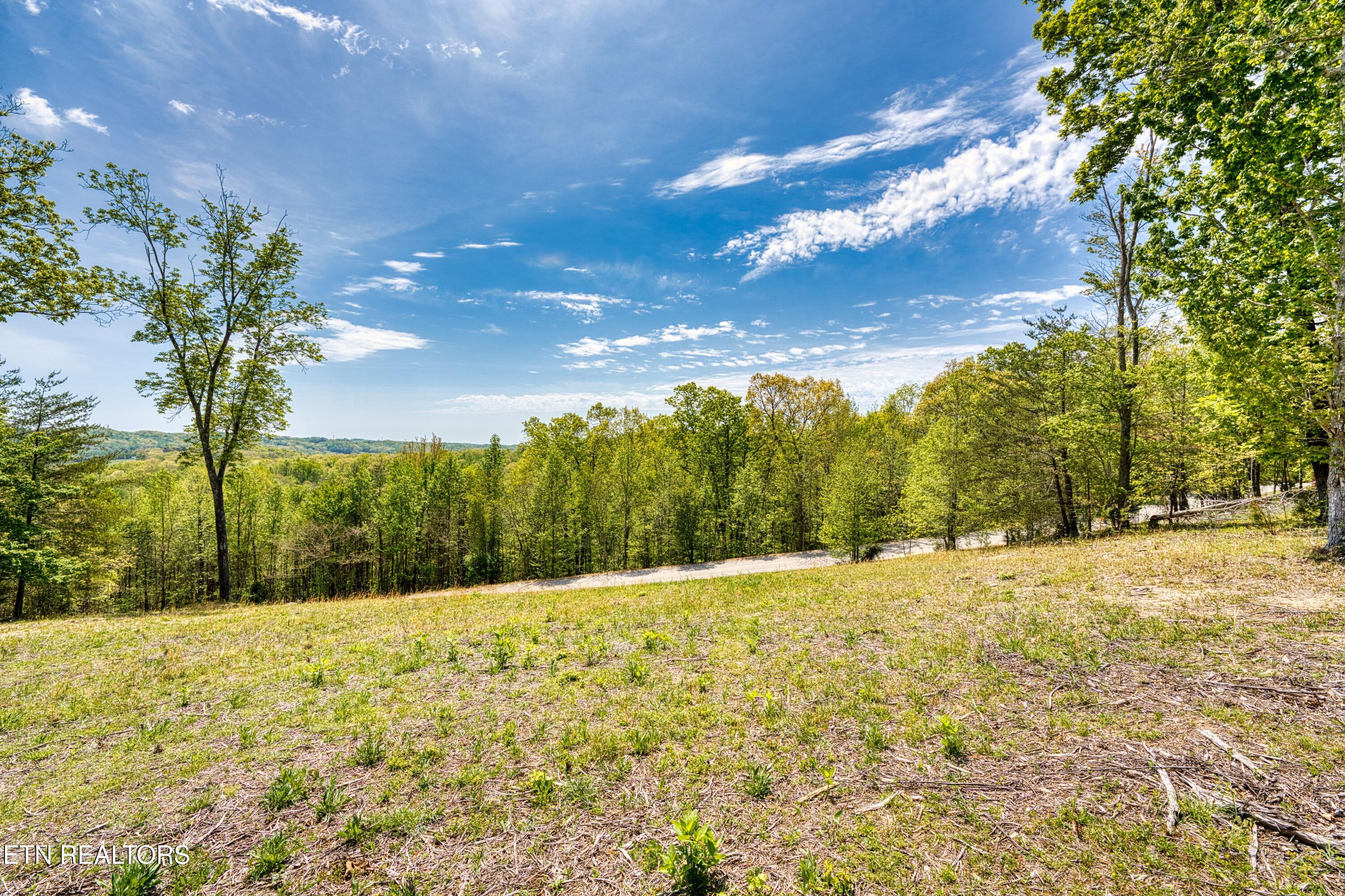 1003 Sheerwater Road Kingston, TN 37763 - Photo 5 of 14 Potential build site view