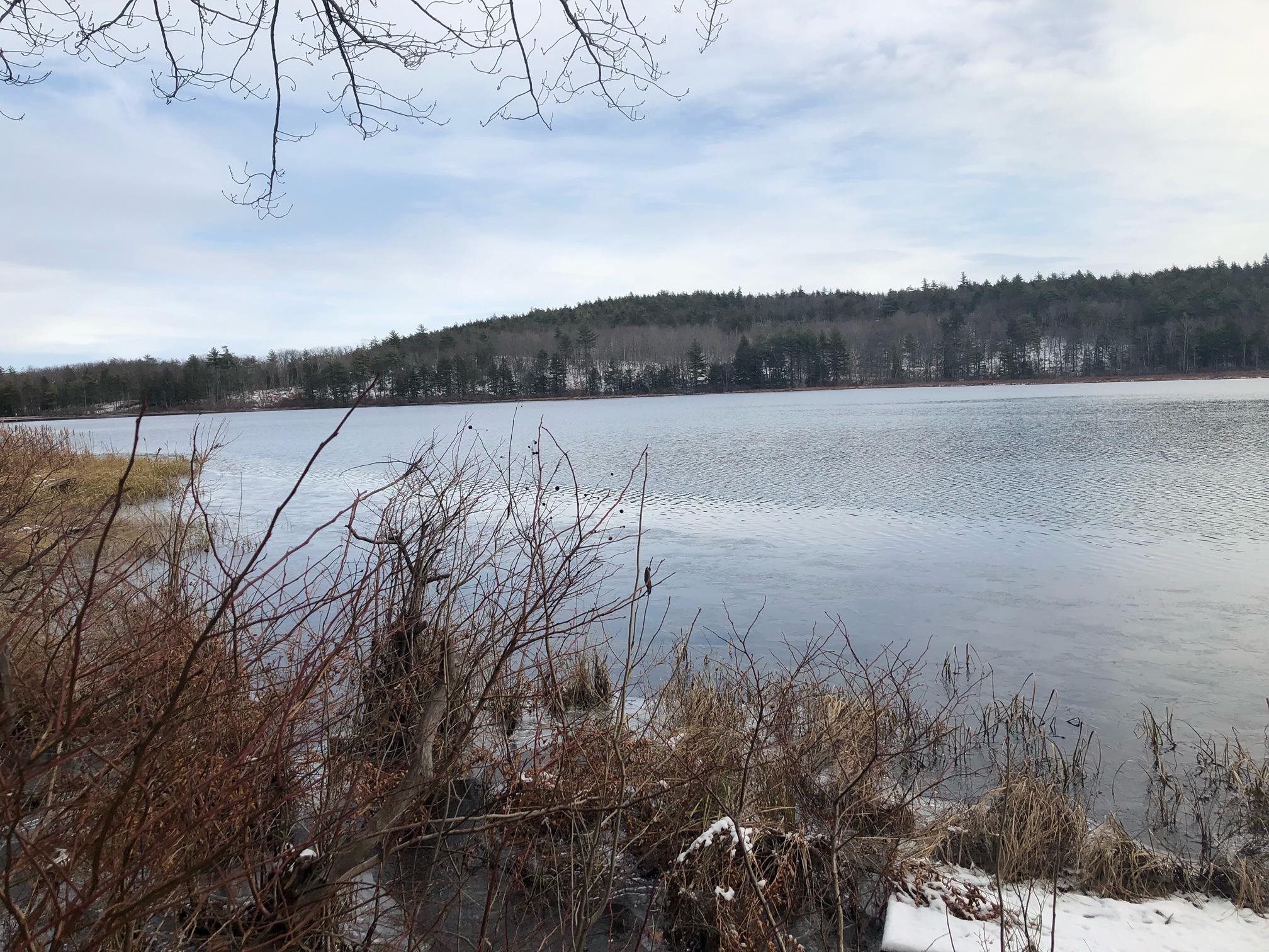 White Birch Road Henniker, NH 03242 - Photo 1 of 5