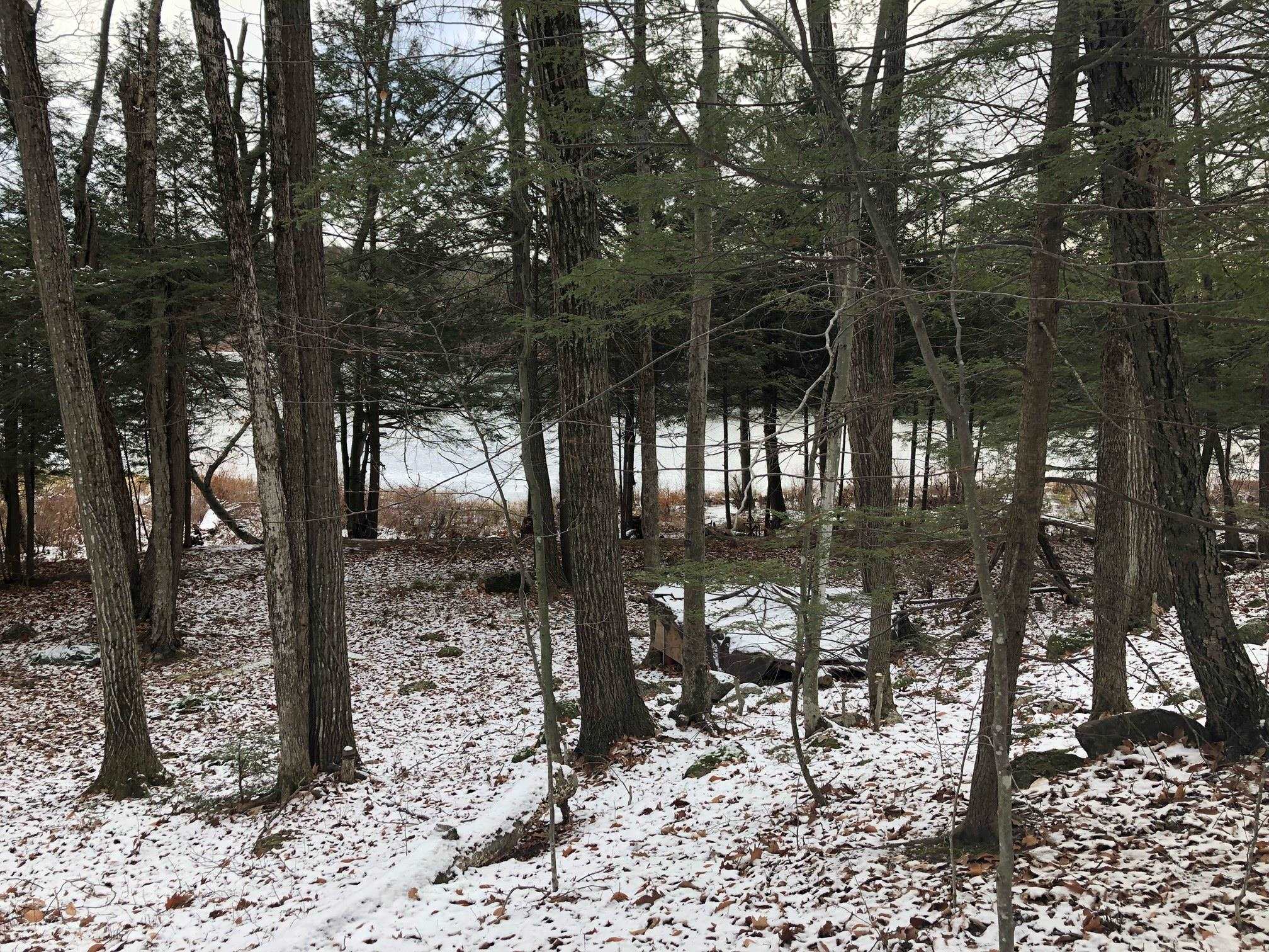 White Birch Road Henniker, NH 03242 - Photo 4 of 5