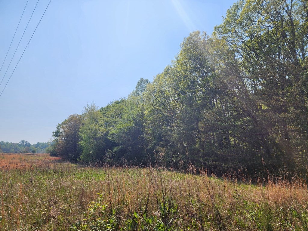 Horseshoe Road, Unit 8 Appomattox, VA 24522 - Photo 2 of 2 Gallery Image 2