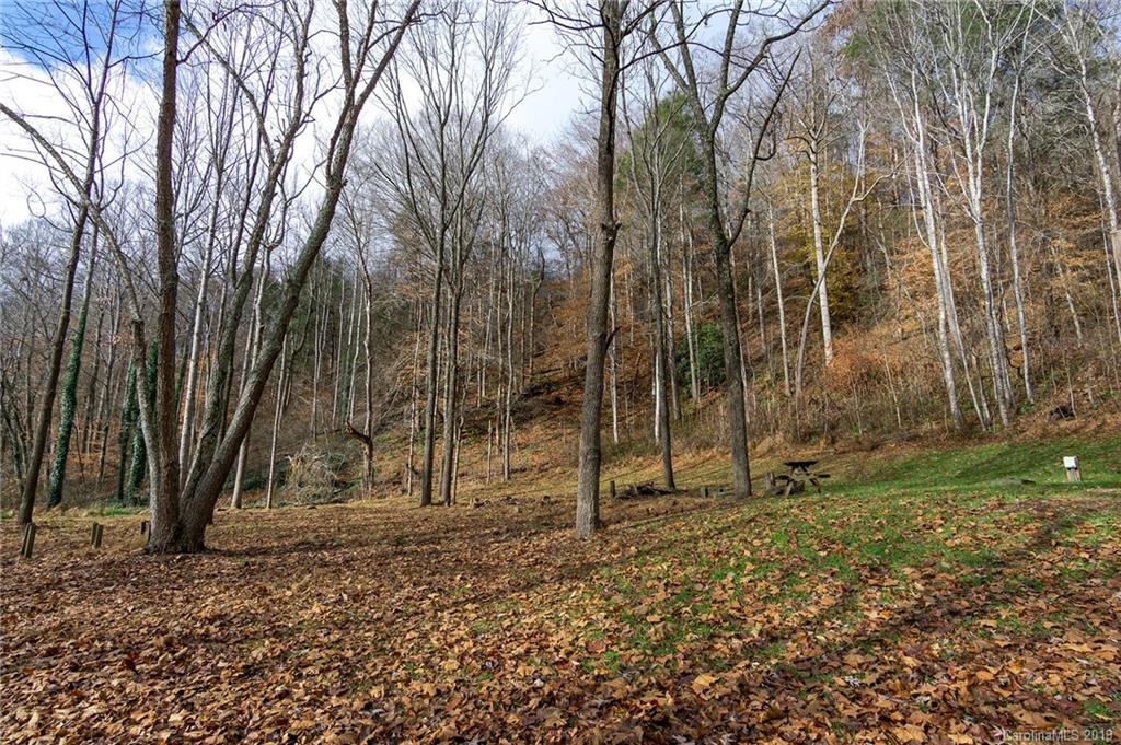 1280 Bee Tree Road Swannanoa, NC 28778 - Photo 29 of 34 Gallery Image 29