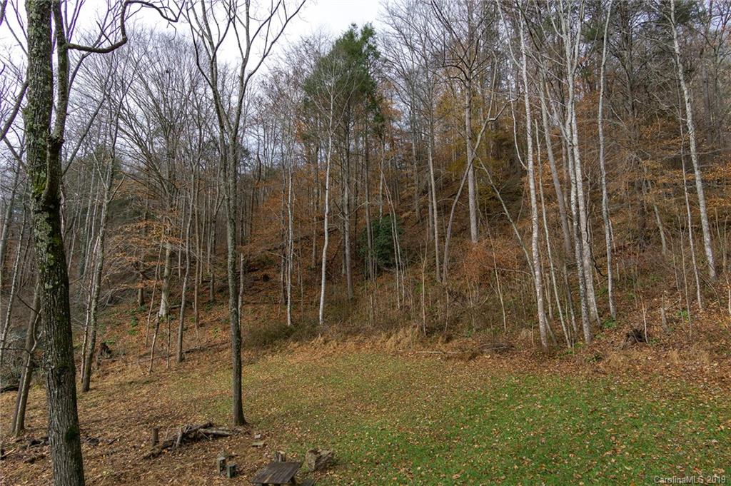 1280 Bee Tree Road Swannanoa, NC 28778 - Photo 5 of 34 Gallery Image 5