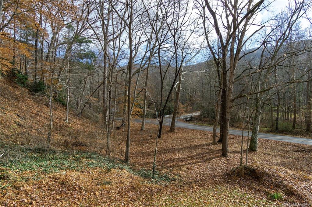 1280 Bee Tree Road Swannanoa, NC 28778 - Photo 6 of 34 Gallery Image 6