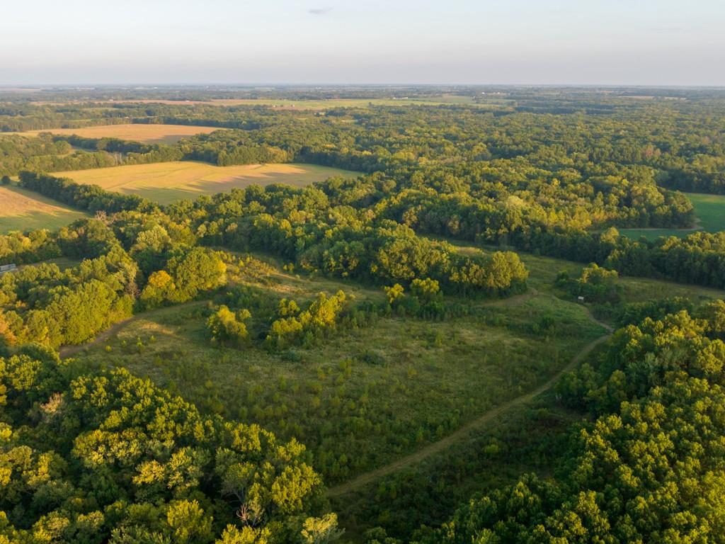 Campbell Rd Green Ridge Knob Noster, MO 65336 - Photo 1 of 1