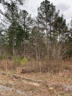 2 McPherson Church Road Dallas, GA 30132 - Photo 1 of 1 Gallery Image 1