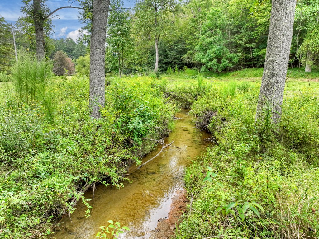34.51-ac Weaver Creek Road Blue Ridge, GA 30513 - Photo 7 of 26 Gallery Image 7