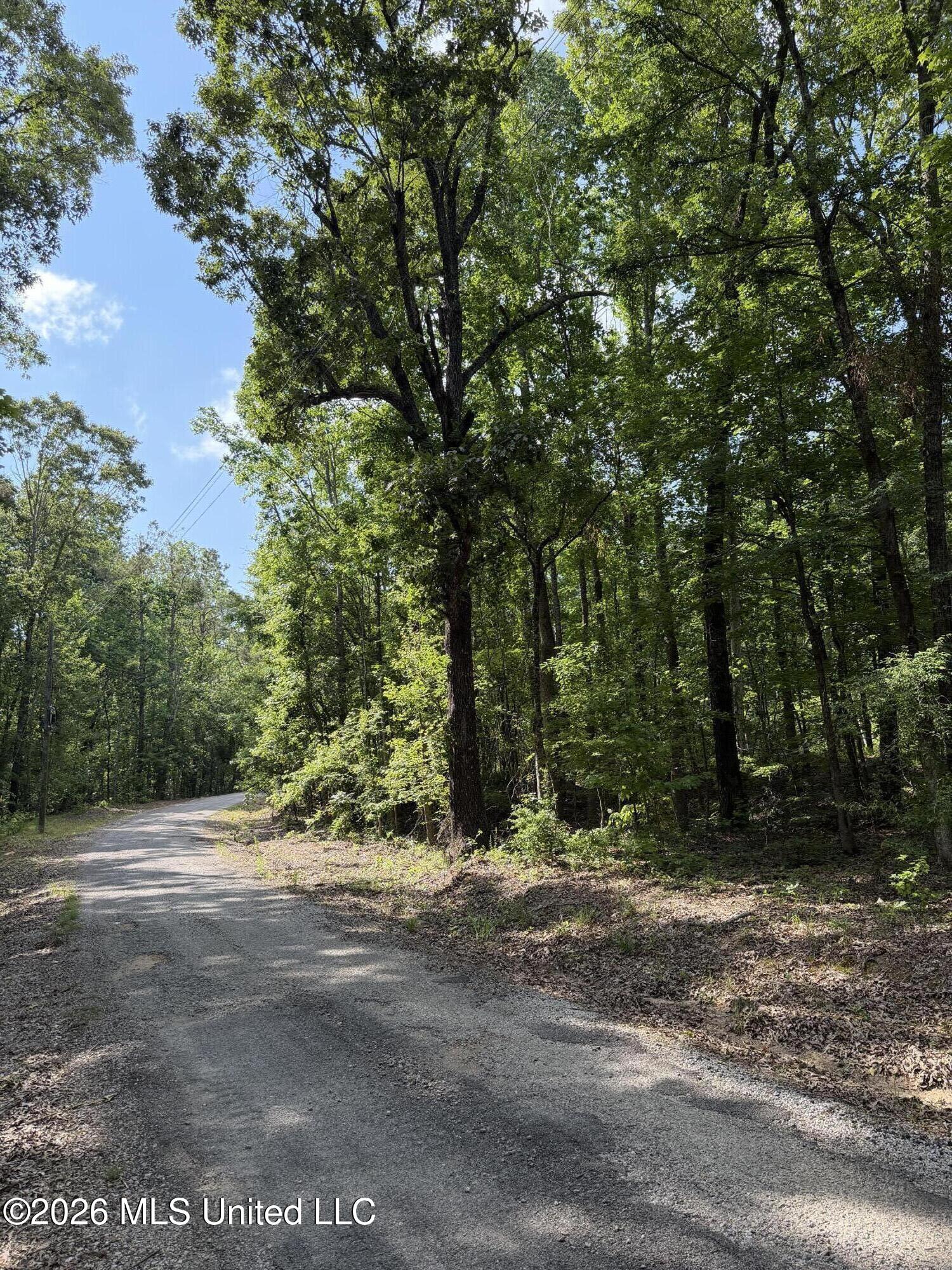 80 Co Road Como, MS 38619 - Photo 2 of 10 IMG_0090