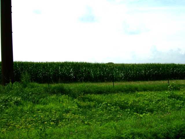 0 East Maize Road Ridott, IL 61067 - Photo 2 of 5