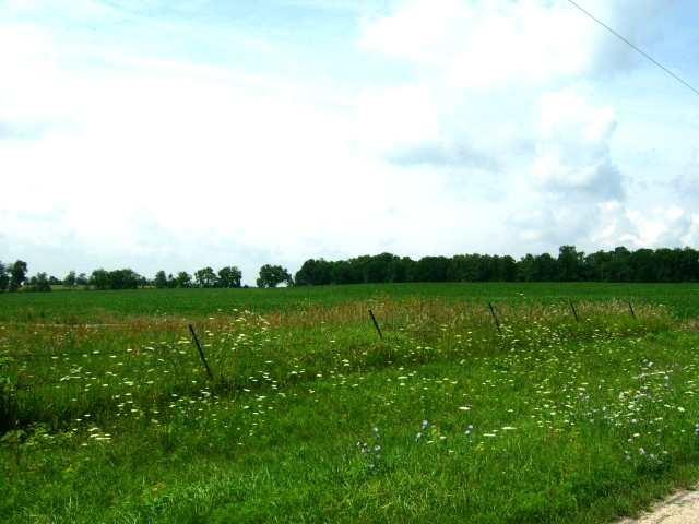 0 East Maize Road Ridott, IL 61067 - Photo 3 of 5 a view of lake with green space
