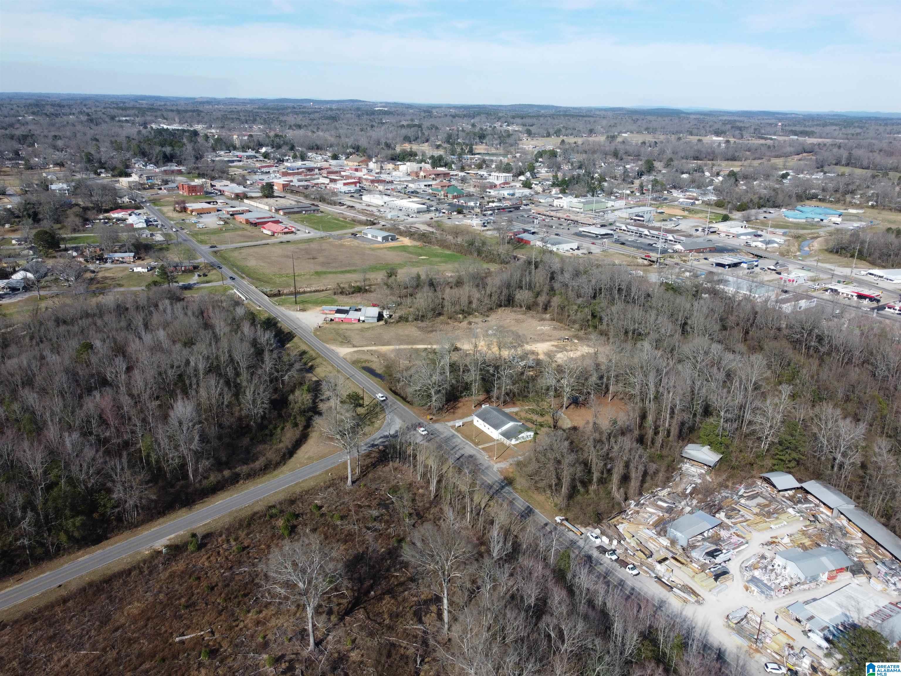 0 Kincheon Road Clanton, AL 35045 - Photo 23 of 45