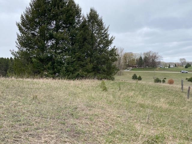 V/l Clous Road Kingsley, MI 49649 - Photo 9 of 17
