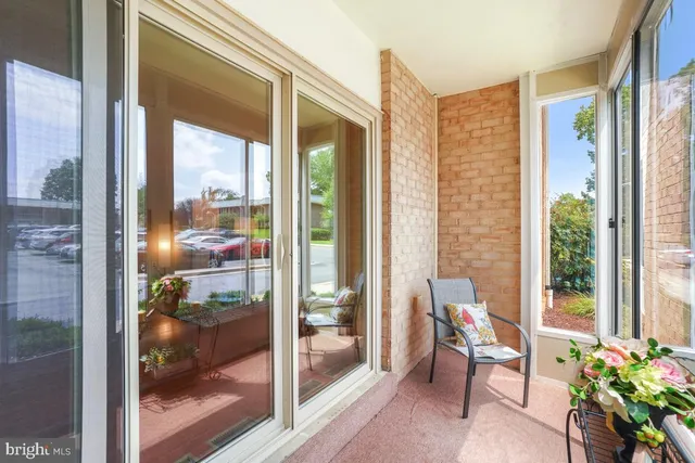 a room with chairs and a potted plant