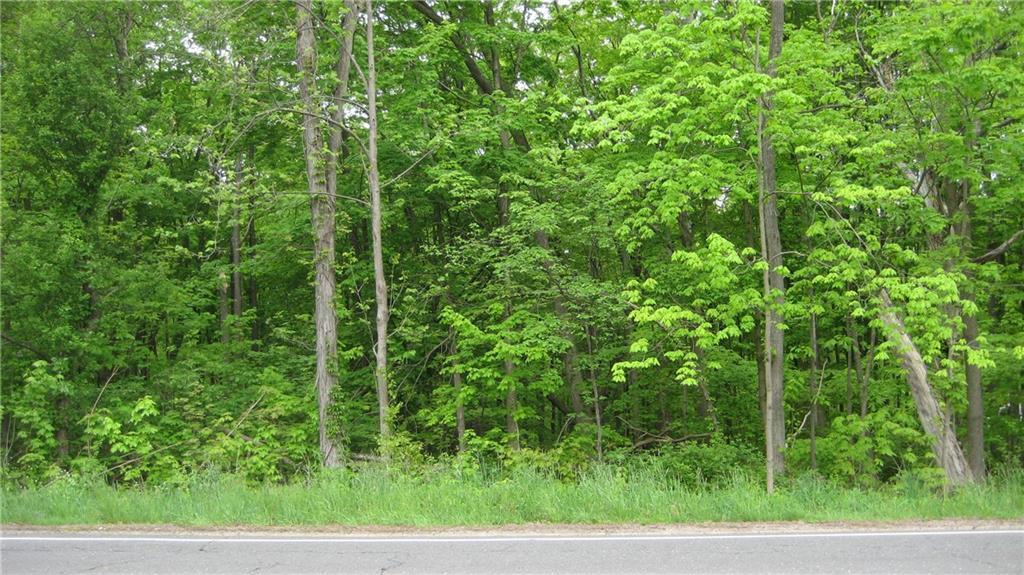 425 Waterville Road Avon, CT 06001 - Photo 1 of 1 a view of a lush green forest