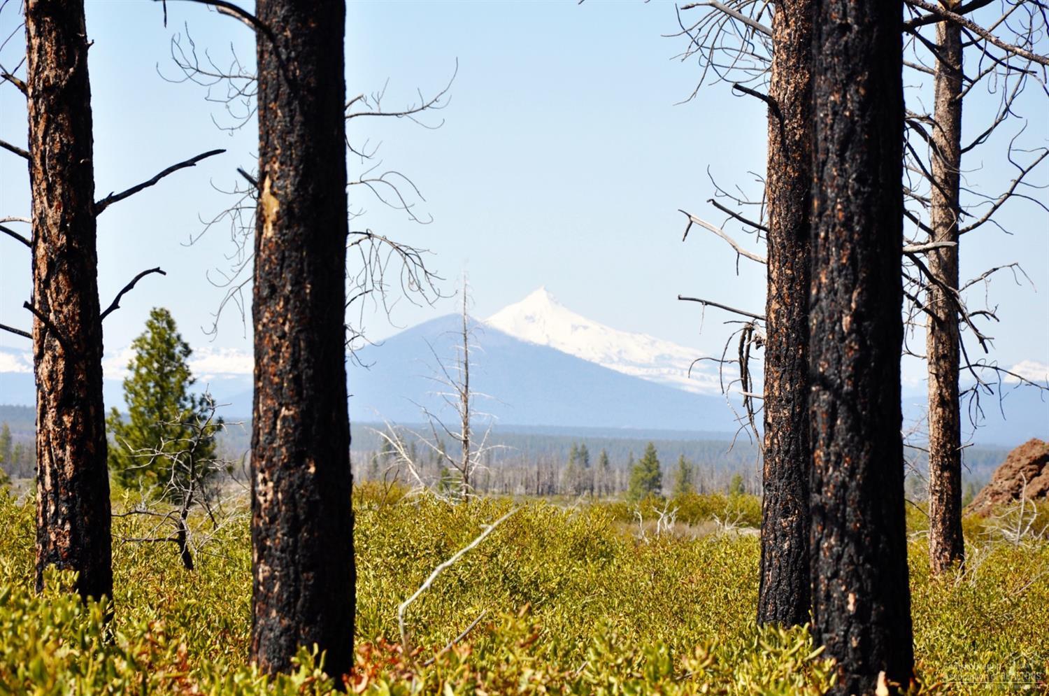 62755 Service Road Bend, OR 97703 - Photo 11 of 24 On the West boundary of Parcel #1 looking Northwest.