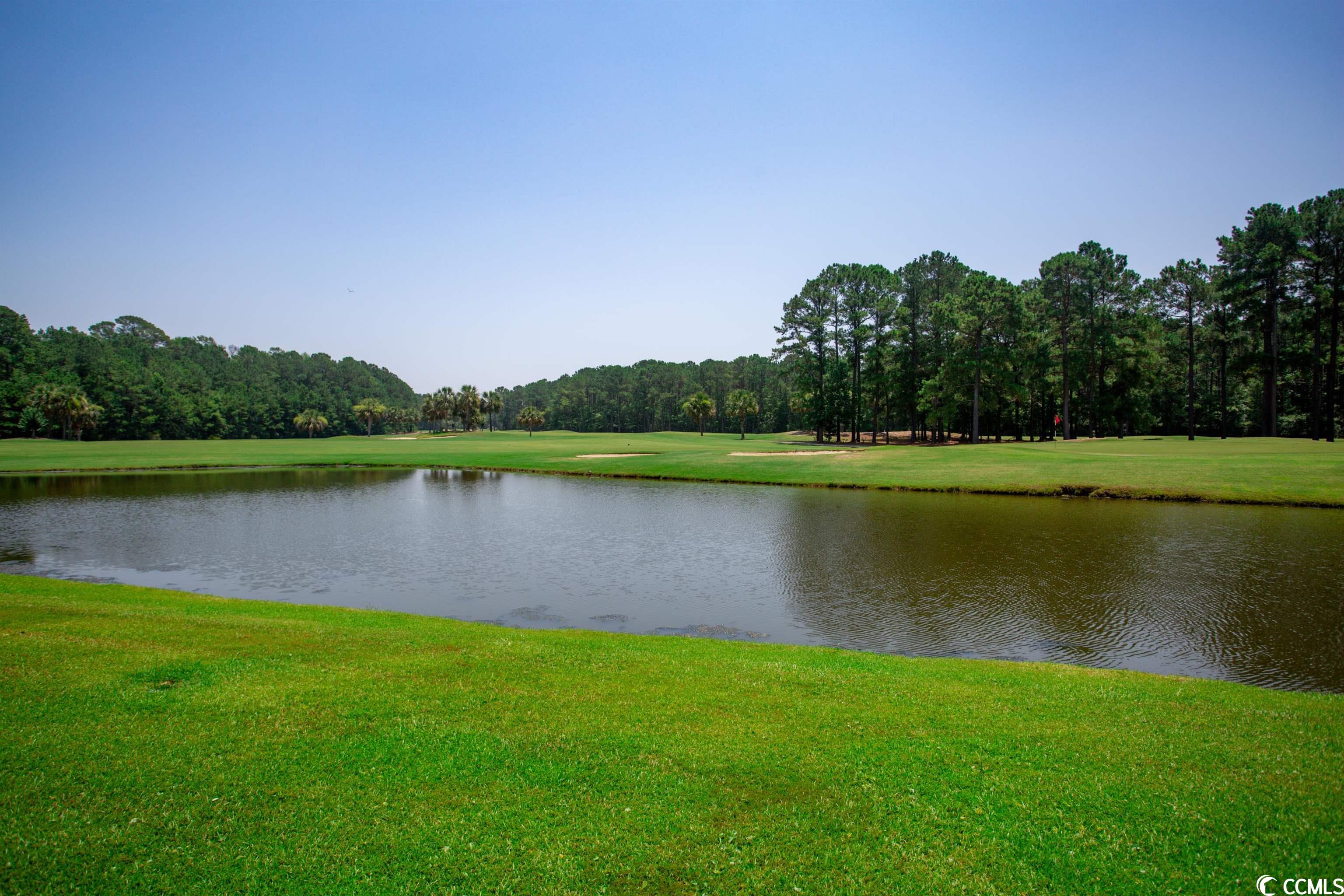 289 Pickering Drive Murrells Inlet, SC 29576 - Photo 32 of 37 Gallery Image 32