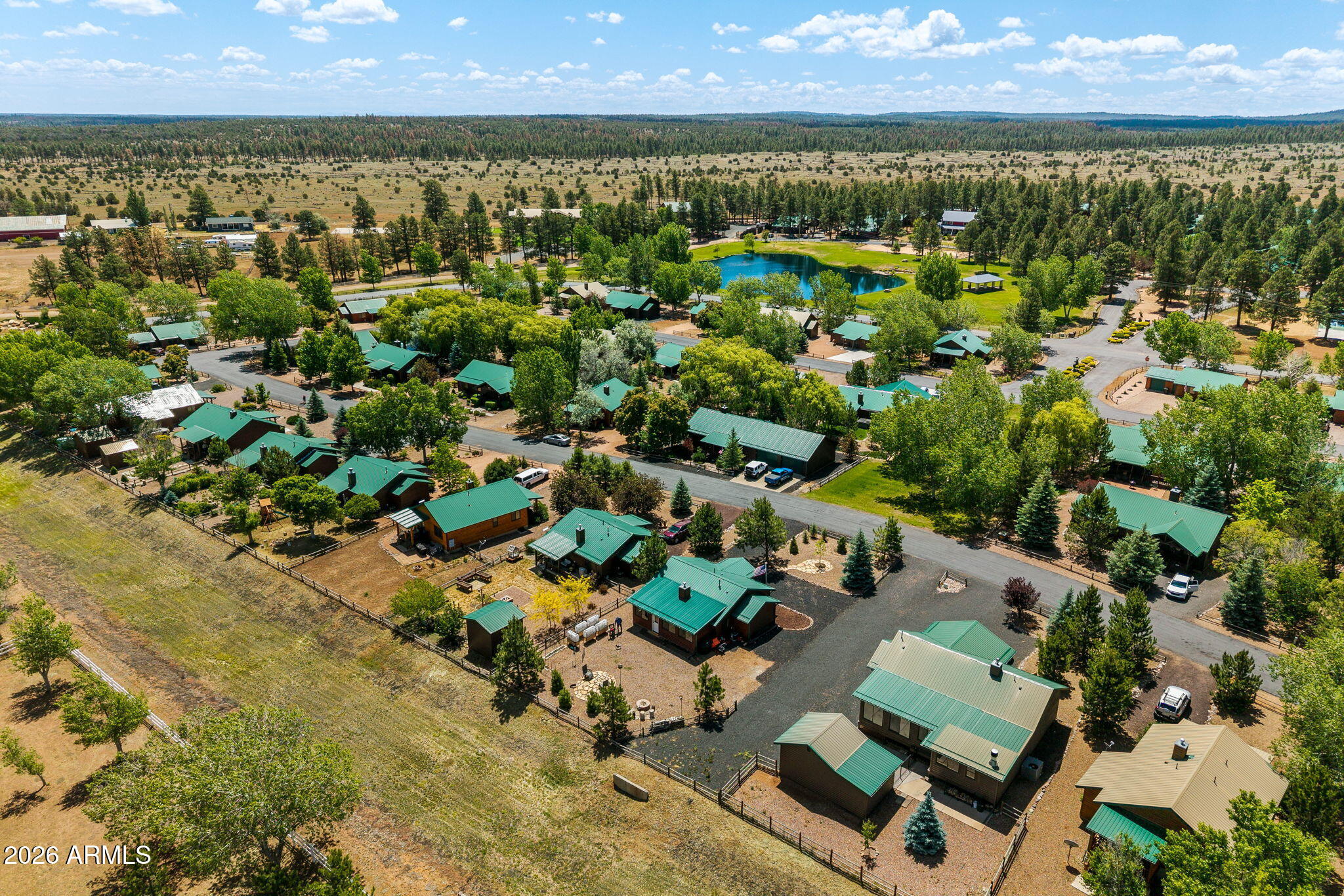 2336 Buffalo Loop Overgaard, AZ 85933 - Photo 29 of 41 AERIAL VIEW