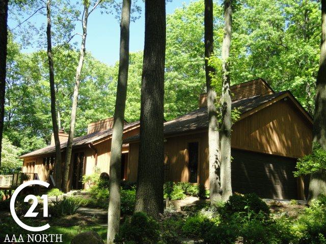 5777 Rochester Road Dryden, MI 48428 - Photo 42 of 55 31378221-41.JPG