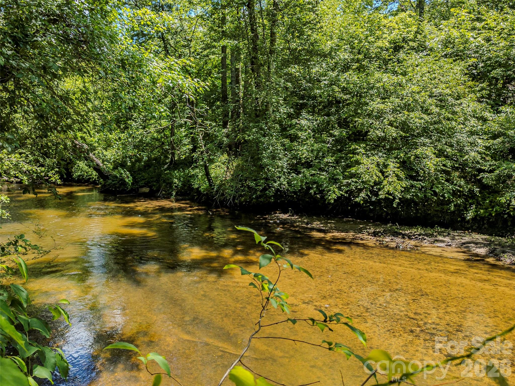 Tbd Canebrake Road Pisgah Forest, NC 28768 - Photo 11 of 43