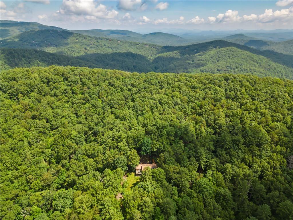 1002 Little Creek Road Cherry Log, GA 30522 - Photo 1 of 1 Gallery Image 1
