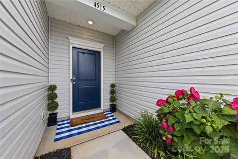 a potted plant sitting in front of a house