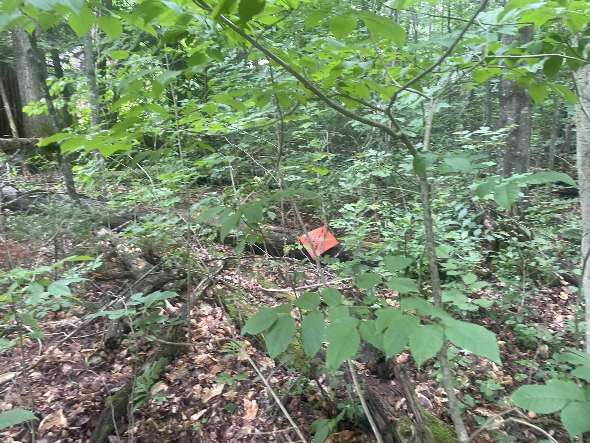 1075 Hill Road Clinton, ME 04927 - Photo 129 of 172 IMG_6227