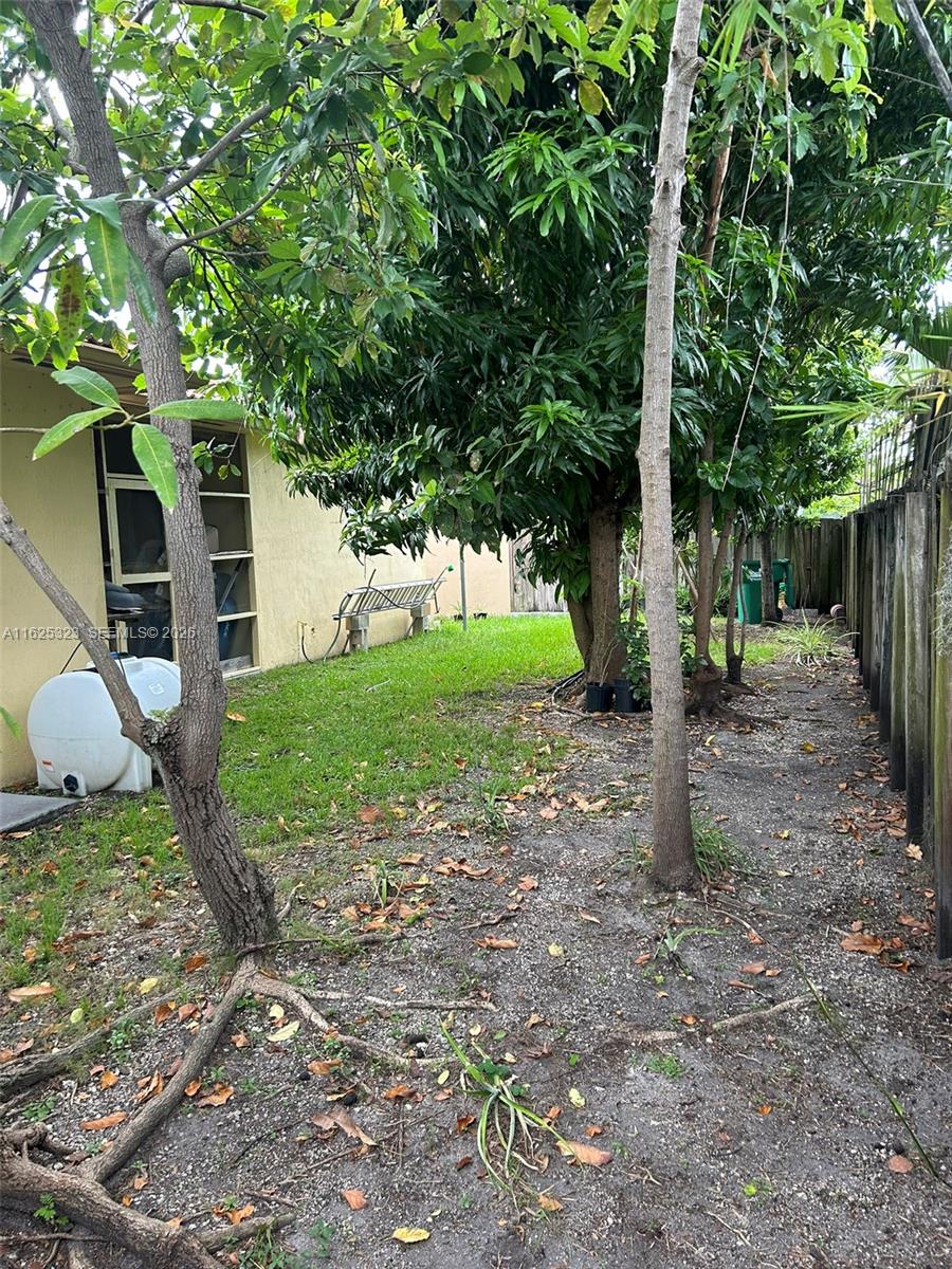12414 Southwest 213th Street Miami, FL 33177 - Photo 14 of 15 a view of a backyard with large trees and a small barn